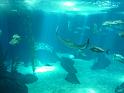 2010_05_Lisbon (356)